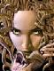 Avatar von Medusa Avatar von Medusa